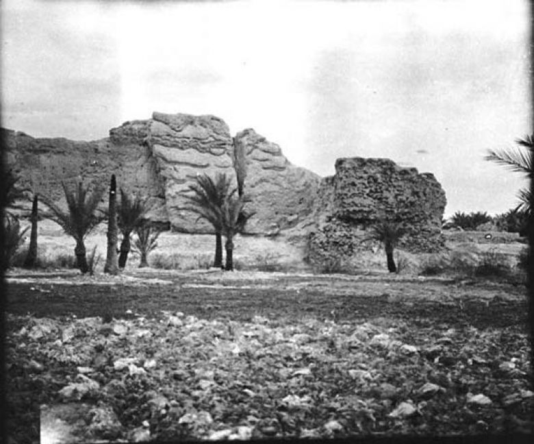 The Archaeological Palace of Shamoun 4
