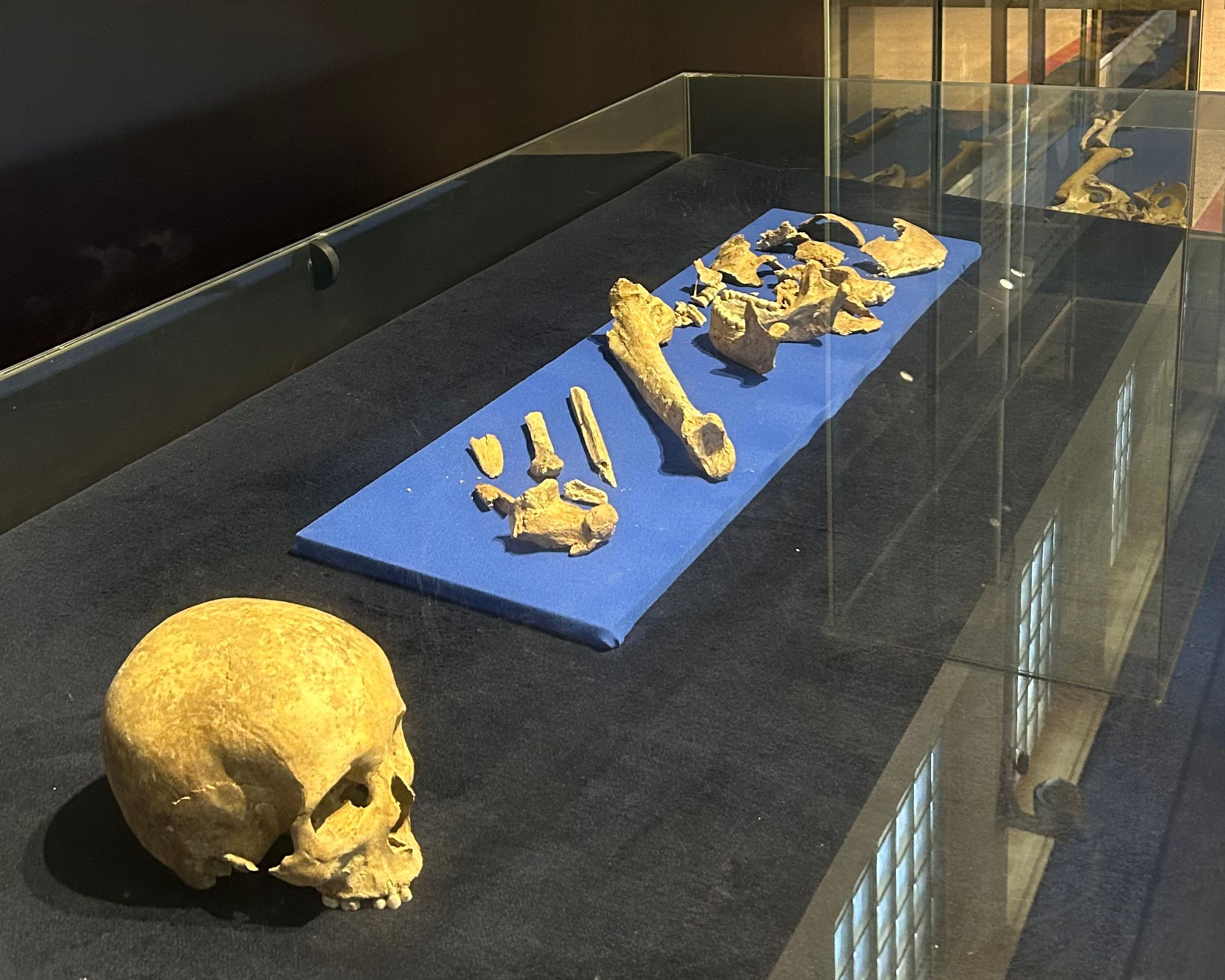 01 & 02 Behnam Abu Al Suf Hall (Prehistoric)